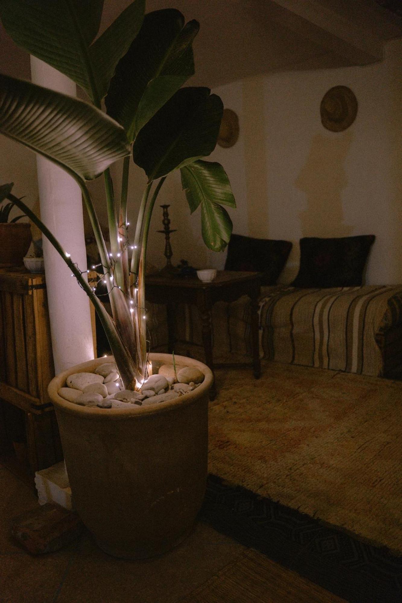 Line Up Surf Morocco Bed and Breakfast Tamraght Εξωτερικό φωτογραφία